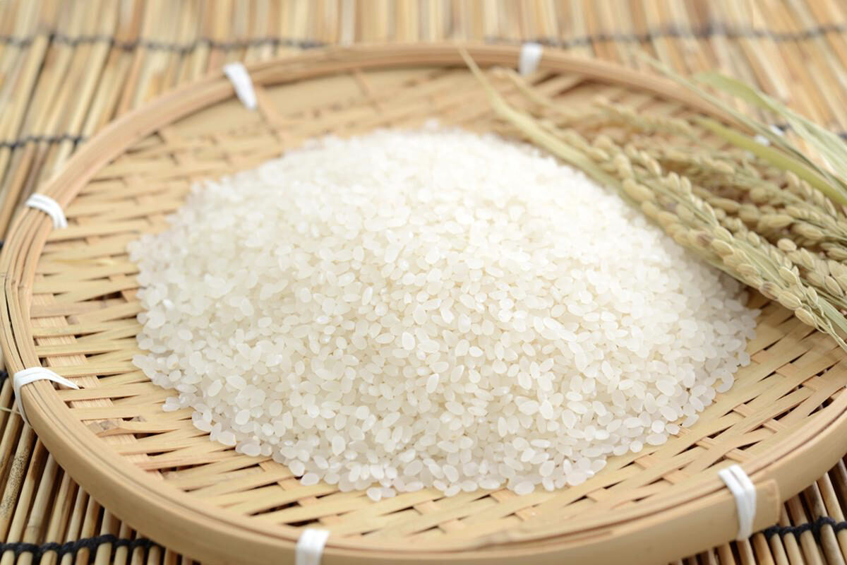 Gạo Japonica có tính ôn, có sự hòa hợp của đất trời, được coi là loại gạo ôn hòa và thích hợp nhất để duy trì sự sống. (Ảnh: Shutterstock)