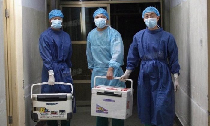 Các bác sĩ mang nội tạng tươi để cấy ghép tại một bệnh viện ở tỉnh Hà Nam, Trung Quốc, ngày 16/08/2012. (Ảnh chụp màn hình qua Sohu.com)