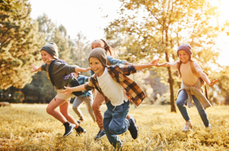 Hòa mình vào thiên nhiên giúp chúng ta chữa lành thể chất và tinh thần