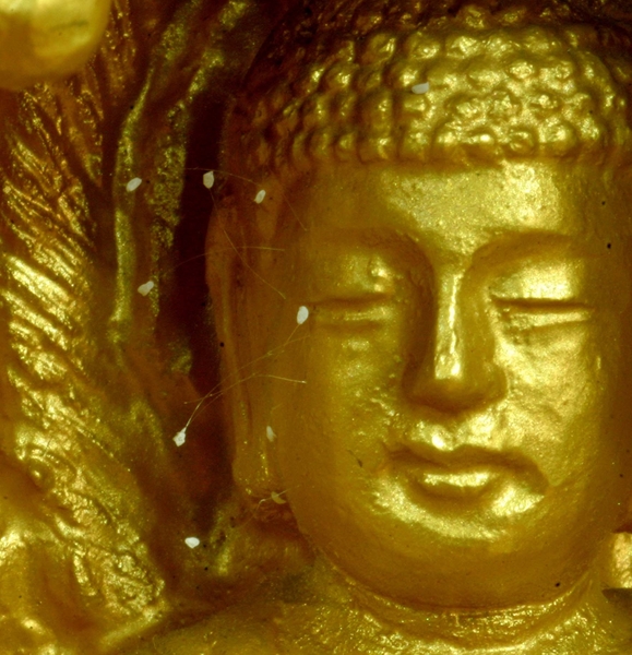 Hoa Ưu Đàm được nhìn thấy khai nở trên một pho tượng Phật tại Nam Hàn. (Ảnh: Xu Liangyu/The Epoch Times)