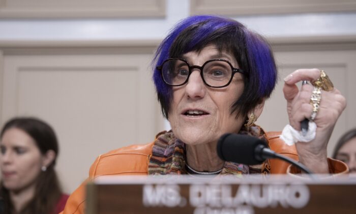 Dân biểu Rosa DeLauro (Dân Chủ-Connecticut), chủ tịch Tiểu ban Phân bổ ngân sách Hạ viện, trình bày tại Hoa Thịnh Đốn ngày 26/02/2020. (Ảnh: Tasos Katopodis/Getty Images)