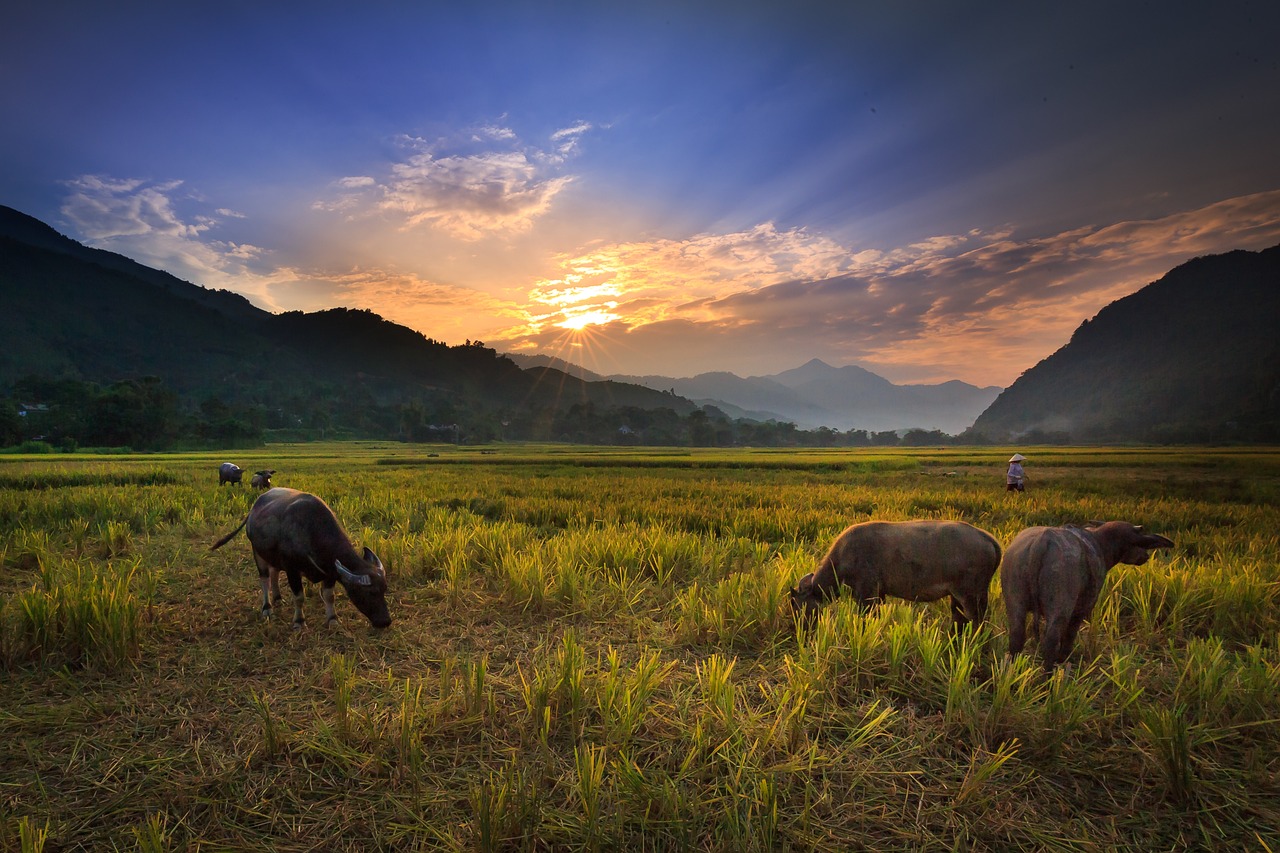 Thượng thiên minh giám, huynh giúp đỡ đệ còn nhỏ, đệ tôn kính huynh trưởng, một nhà có phúc. (Ảnh: Pixabay)