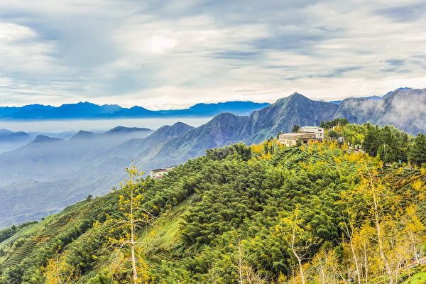 Quê hương của Trà đạo ở nơi đâu?