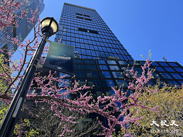 Ngắm hoa giữa những tòa cao ốc tại quảng trường Hudson Yards. (Ảnh: Tăng Liên/ Epoch Times)