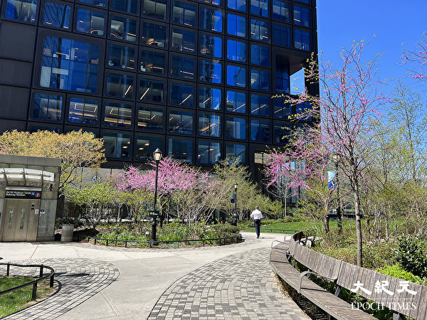 Ngắm hoa giữa những tòa cao ốc tại quảng trường Hudson Yards. (Ảnh: Tăng Liên/ Epoch Times)