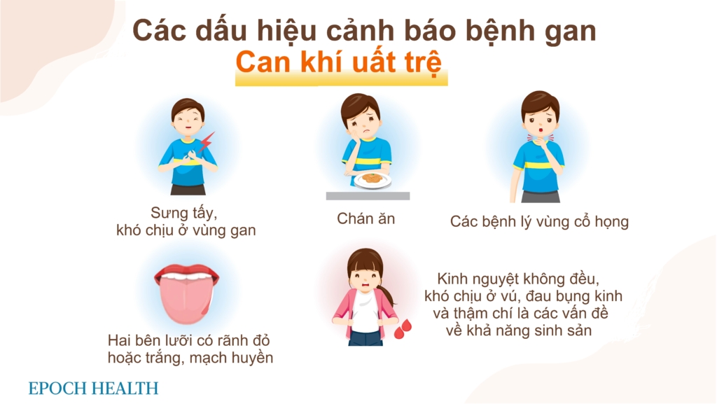 Nhận biết các dấu hiệu về suy gan: Lời khuyên bảo vệ gan vào mùa xuân