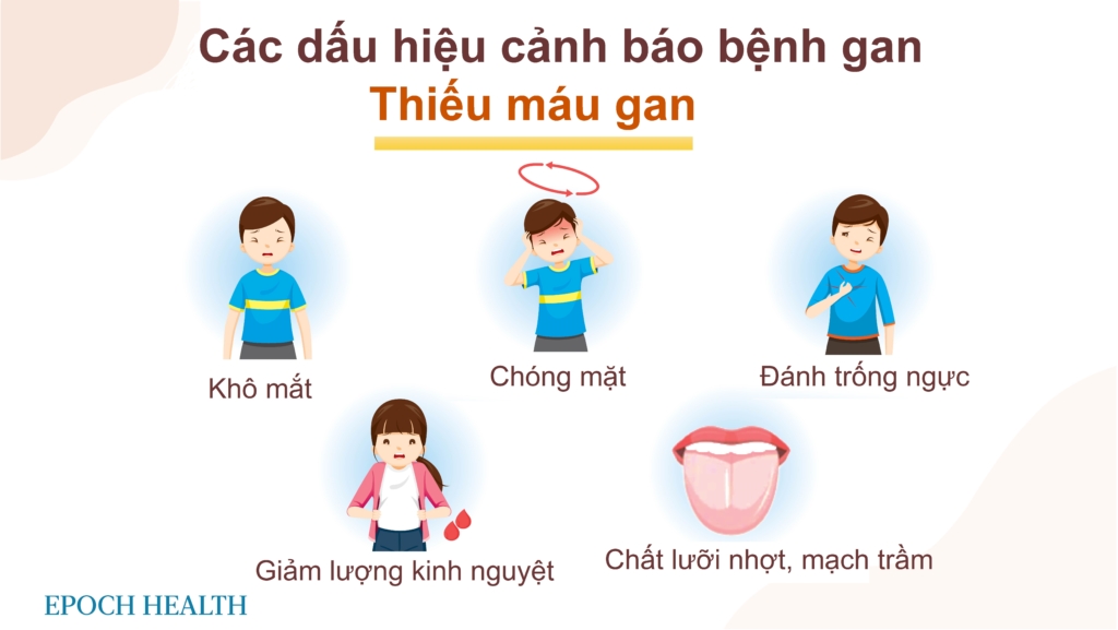 Nhận biết các dấu hiệu về suy gan: Lời khuyên bảo vệ gan vào mùa xuân