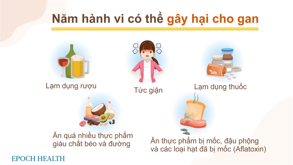 Nhận biết các dấu hiệu về suy gan: Lời khuyên bảo vệ gan vào mùa xuân