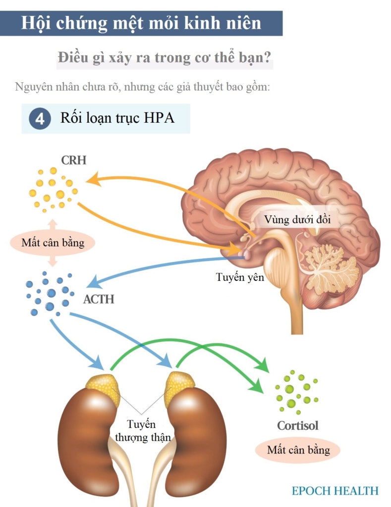 Hướng dẫn cơ bản về hội chứng mệt mỏi kinh niên: Triệu chứng, nguyên nhân, điều trị, và giải pháp tự nhiên