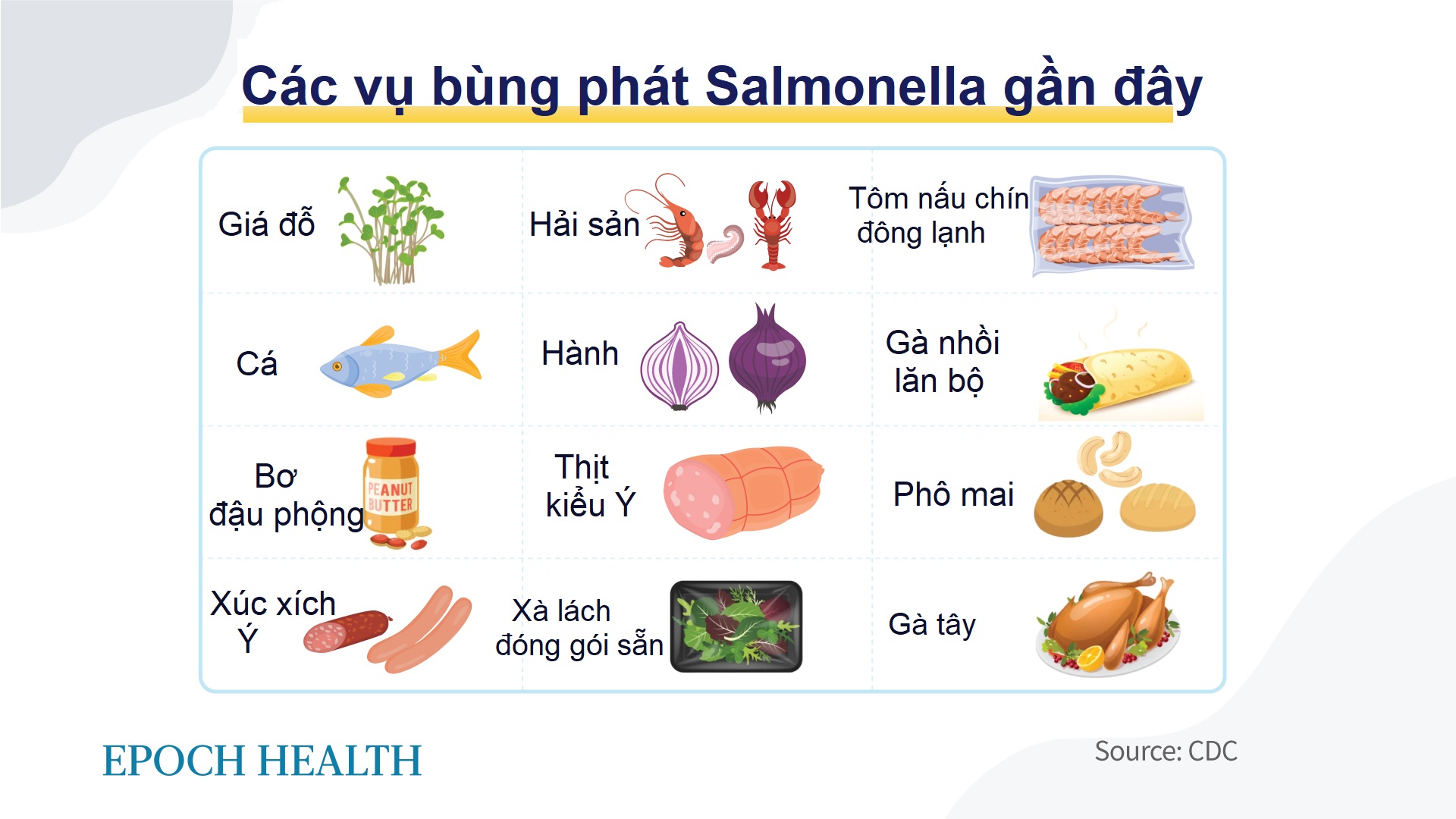 Vi khuẩn Salmonella: Từ kháng thuốc đến kháng thuốc toàn diện