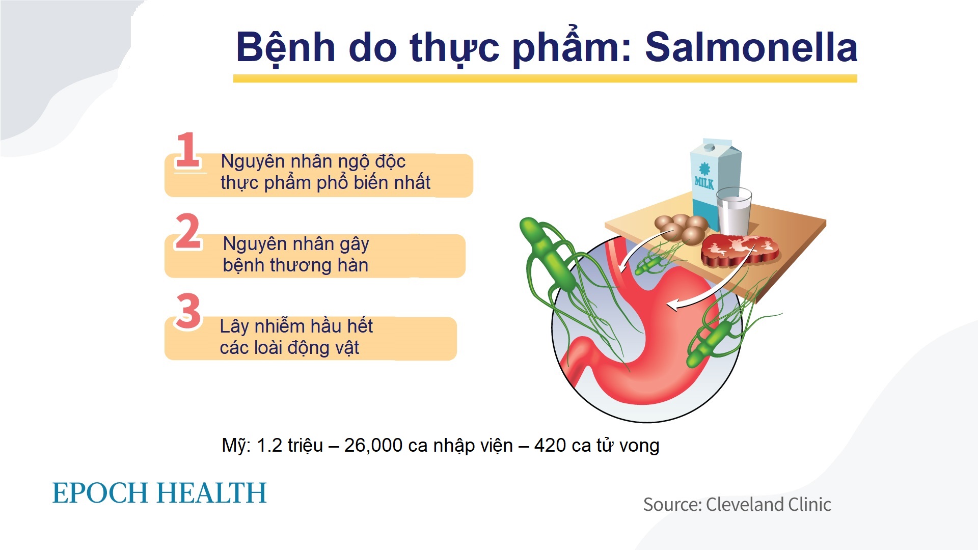 Vi khuẩn Salmonella: Từ kháng thuốc đến kháng thuốc toàn diện