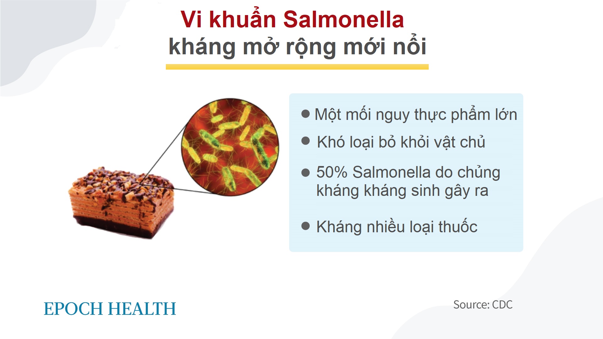 Vi khuẩn Salmonella: Từ kháng thuốc đến kháng thuốc toàn diện