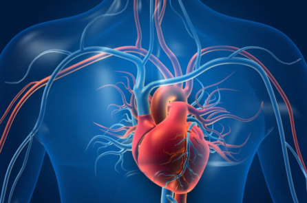 COVID-19 làm tăng nguy cơ bị bệnh tim – Các dấu hiệu nguy cấp và mẹo để phòng ngừa