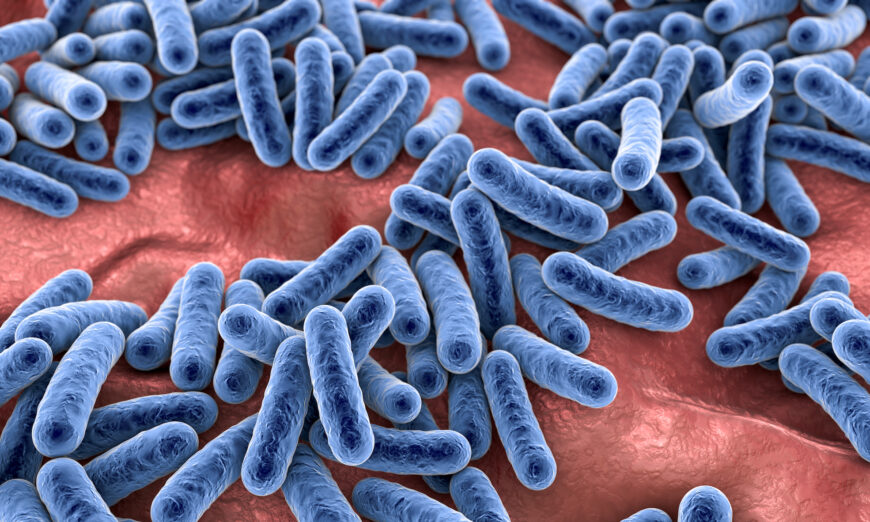Khoa học mới về vi sinh vật: Diệt khuẩn bằng kháng sinh có thể là thiển cận