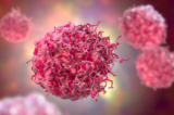 Các tế bào miễn dịch chống lại ung thư tốt hơn khi nghỉ ngơi (Ảnh: Kateryna Kon/Shutterstock)