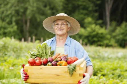 Cách ăn uống giúp trẻ lâu: Các loại thực phẩm chống lão hóa