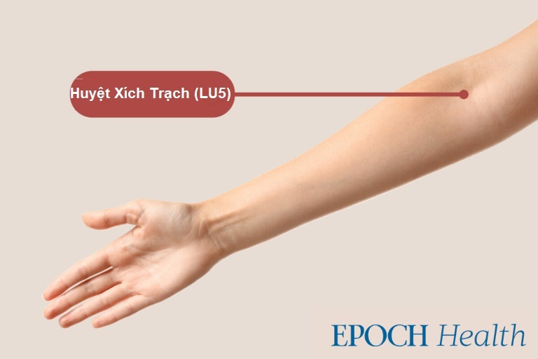 Kiểm soát bệnh hen suyễn: Những thực phẩm nên tránh và các huyệt giúp cắt cơn hen lúc nửa đêm