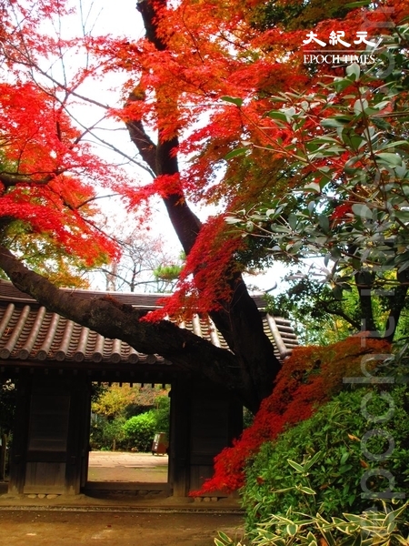 Hòa mình vào trong khu vườn Nhật Bản sẽ tạo cho người ta cảm giác cổ xưa, an nhiên tự tại và tách biệt với thế tục. (Ảnh: Dung Nãi Gia/Epoch Times)