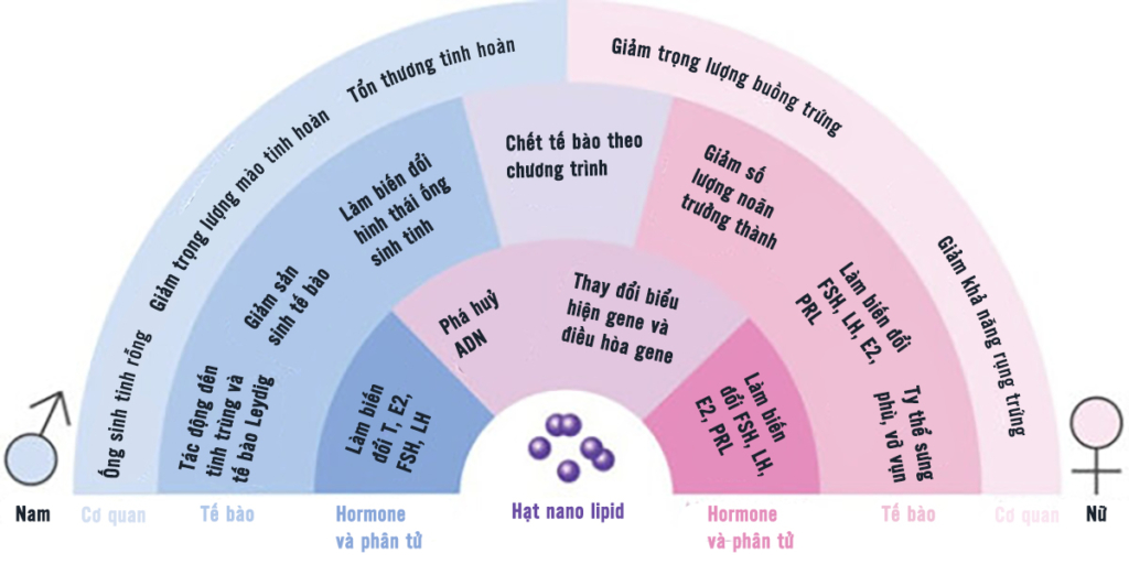 Tỷ lệ sinh giảm mạnh ở các nước chích vaccine nhiều