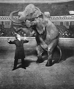 Ông Harry Houdini khiến khán giả kinh ngạc bằng cách khiến một chú voi biến mất ở New York Hippodrome.(Ảnh: Tài sản công)