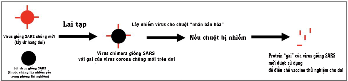 Hoa Kỳ: NIH mở lại khoản tài trợ gây tranh cãi cho EcoHealth để nghiên cứu về virus Corona trên dơi