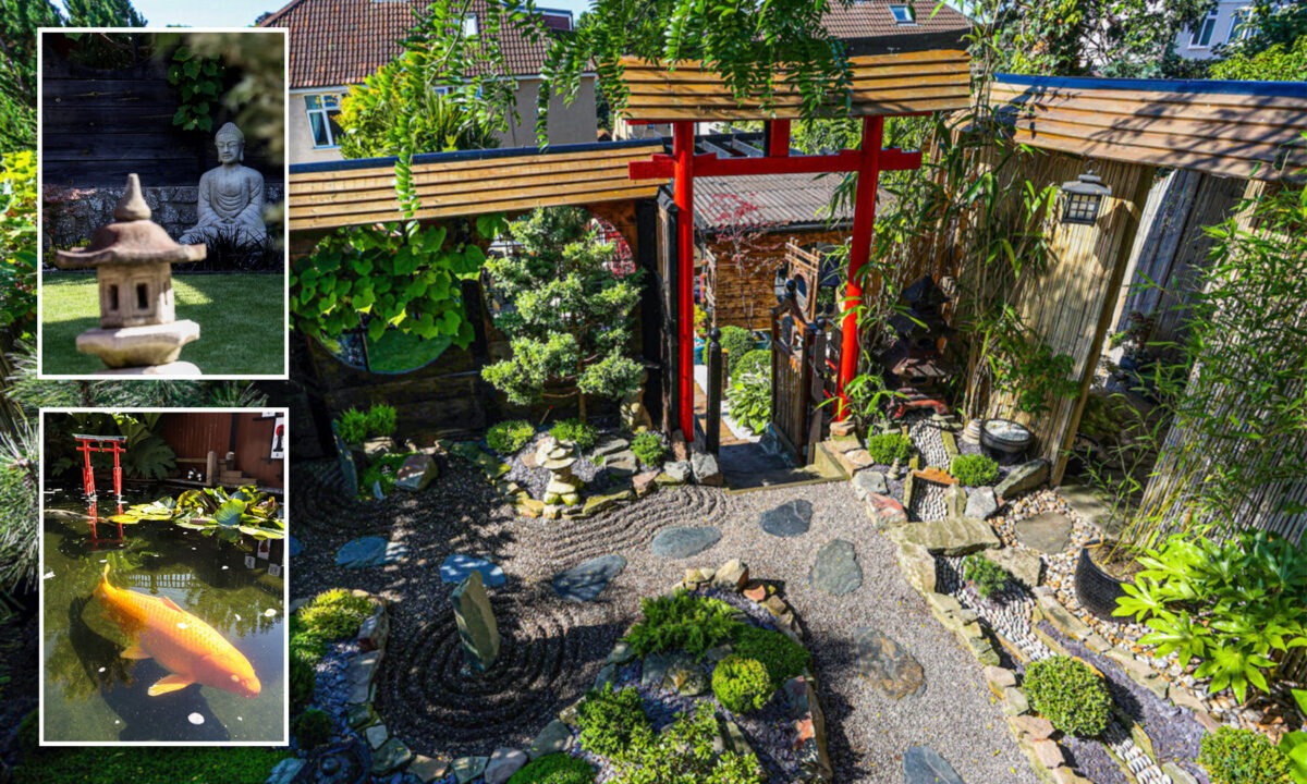 Nhiếp ảnh: Người cha dành 13 năm để làm sân sau thành vườn theo phong cách Nhật Bản