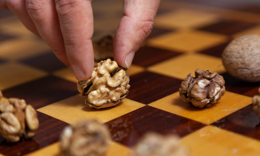 Trò chơi cho não. Cận cảnh bàn tay của người chơi cờ đặt một quả óc chó đã bóc vỏ lên một ô vuông màu trắng.