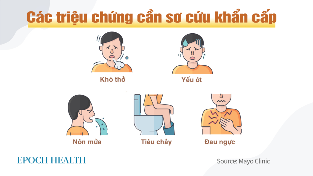 Lây nhiễm liên cầu khuẩn nhóm A gia tăng trong lúc kháng sinh điều trị đang thiếu