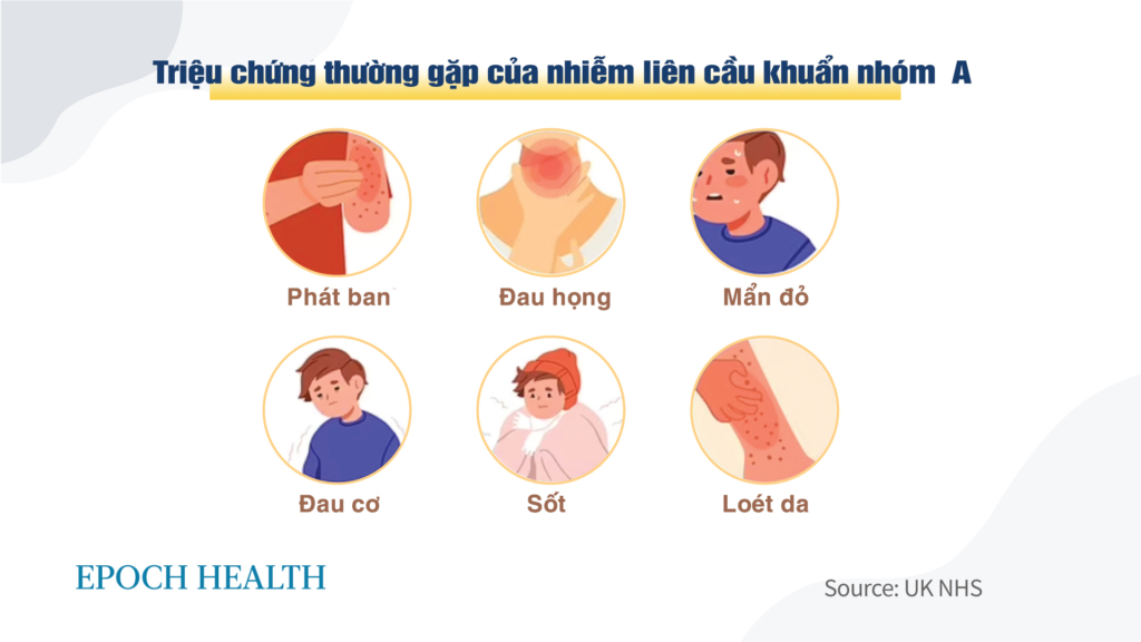 Lây nhiễm liên cầu khuẩn nhóm A gia tăng trong lúc kháng sinh điều trị đang thiếu