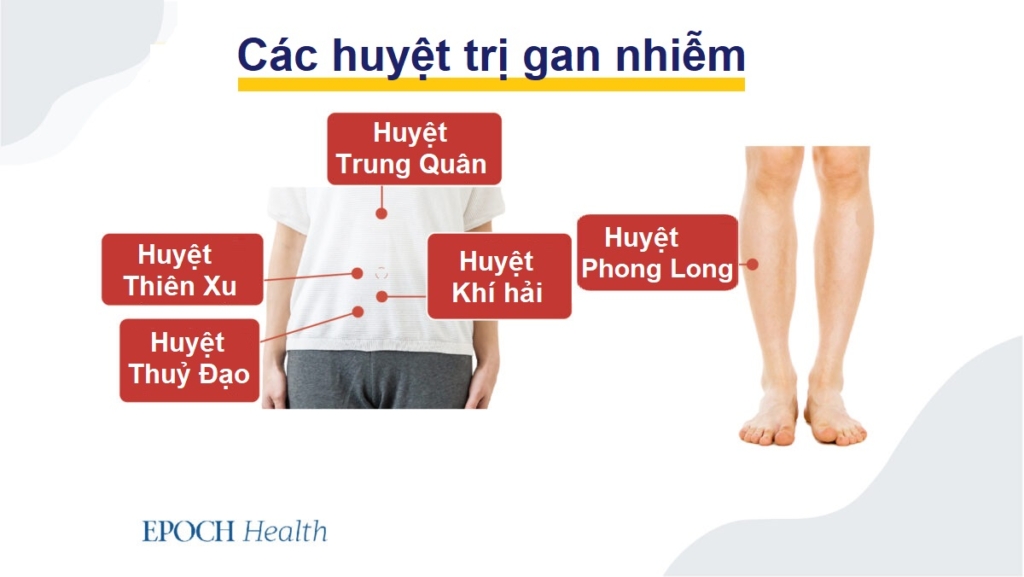 Gan nhiễm mỡ làm tăng nguy cơ ung thư gan–Mẹo phát hiện và phòng ngừa sớm