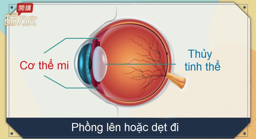 Bài tập mắt cải thiện chứng lão thị và song thị