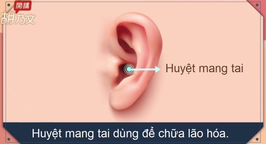 Bài tập mắt cải thiện chứng lão thị và song thị