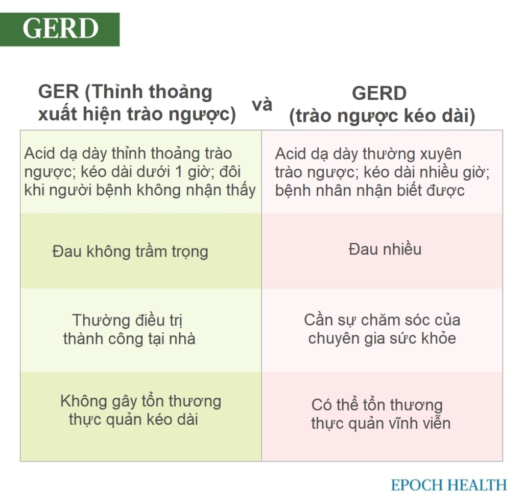 Trào ngược acid và GERD: Triệu chứng, nguyên nhân, điều trị, và các giải pháp tự nhiên