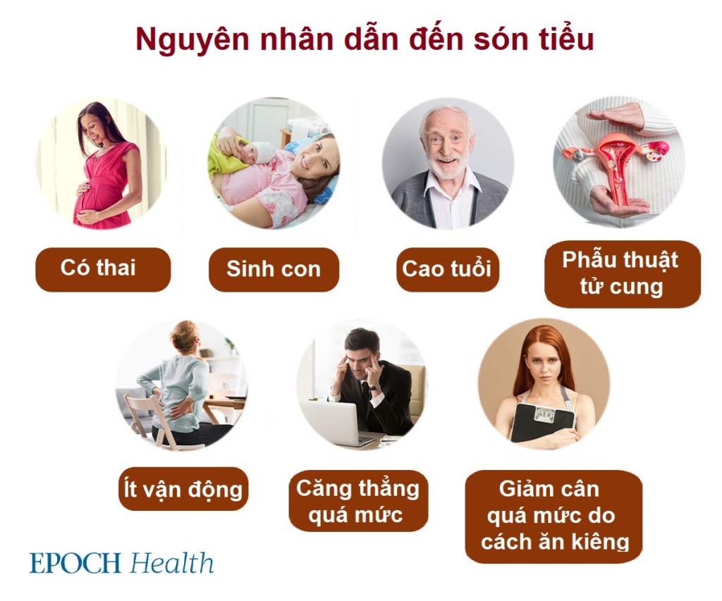 6 bài tập cơ sàn chậu ngăn chứng tiểu són và tiểu lắt nhắt