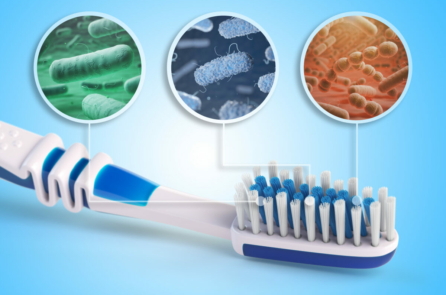 Bàn chải đánh răng của bạn bẩn đến mức nào?