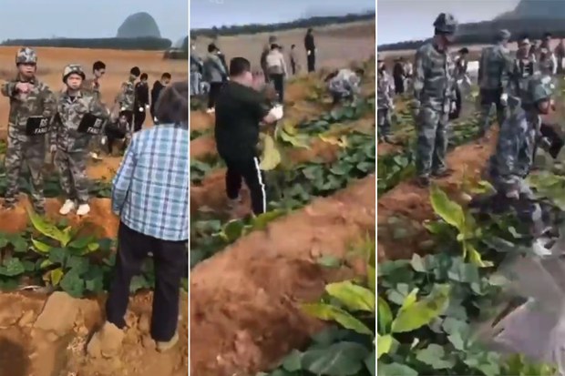 Ảnh tĩnh từ video được đăng lên mạng xã hội Trung Quốc vào mùa xuân năm 2023 cho thấy nhân viên “nông quản” mặc đồ ngụy trang camo đang nói chuyện với người dân nông thôn trước khi đào bới nông sản và cây thuốc lá của họ. (Ảnh: Đài Á Châu Tự Do)