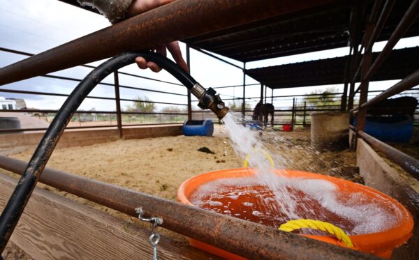 Bà Christy Jackman, người có một cái giếng trong khuôn viên của mình, cung cấp nước cho các con ngựa ở Rio Verde Foothills, Arizona, hôm 23/02/2023. Khu vực ở Rio Verde Foothills chưa bao giờ có nước máy và có một nguồn cung cấp đang dần cạn từ Sông Colorado, khi một đợt hạn hán kéo dài hàng thập niên tàn phá miền Tây nước Mỹ. (Ảnh: Frederic J. Brown/AFP qua Getty Images)