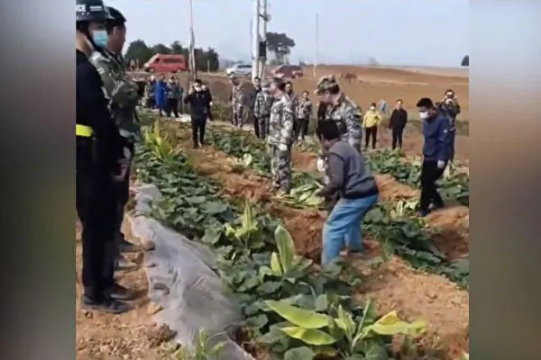 PHÂN TÍCH: ‘Rừng chuyển đổi thành đất nông nghiệp’ báo hiệu Trung Quốc quay trở lại nền kinh tế theo kế hoạch