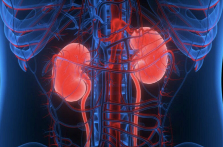 Bệnh thận: Kẻ giết người thầm lặng và 7 triệu chứng sớm cần lưu ý