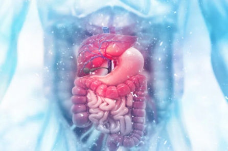 Vì sao tiêu hóa tốt lại quan trọng trong y học Ayurveda?