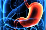 (Ảnh: Life Science/Shutterstock)