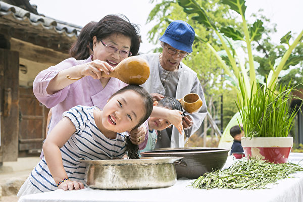 Dùng nước cây Xương Bồ gội đầu; Bên phải chậu chính là cây Xương Bồ. (Ảnh:Toàn Cảnh Lâm/Epoch Times)