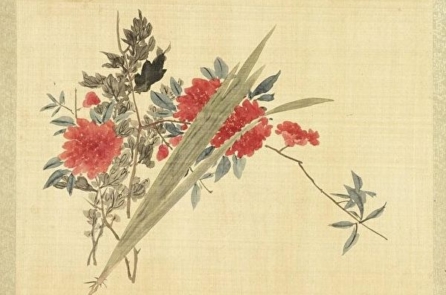 Tiên thảo Xương Bồ phát ánh phong quang trong Tết Đoan Ngọ