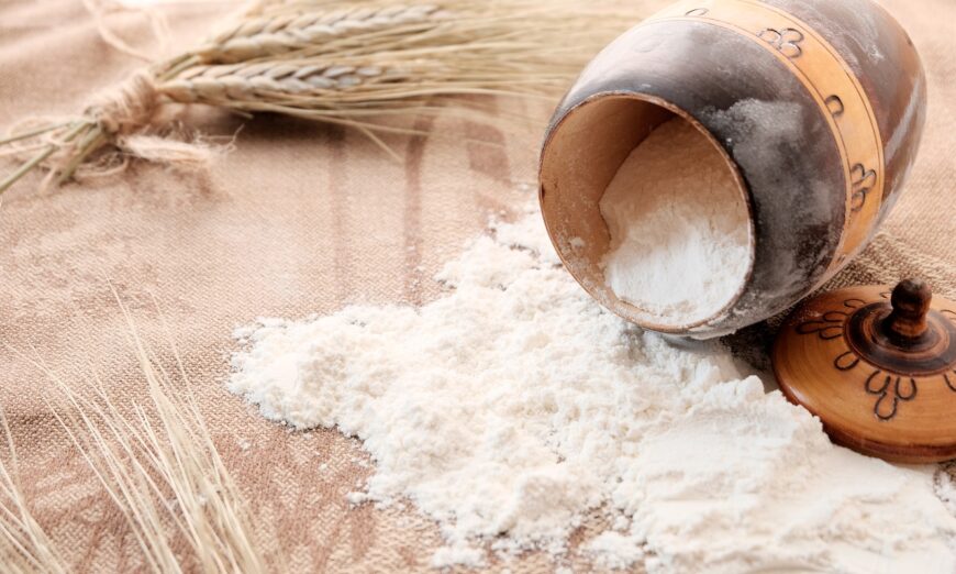 Lúa mì được trồng để tăng hàm lượng gluten giúp tăng độ dẻo, độ đàn hồi và chất lượng của bánh mì. (Ảnh: SvetaKost/Shutterstock)