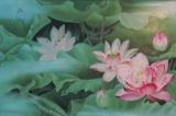 Tranh vẽ Hoa sen tinh khiết.（Ảnh: Minghui.org）
