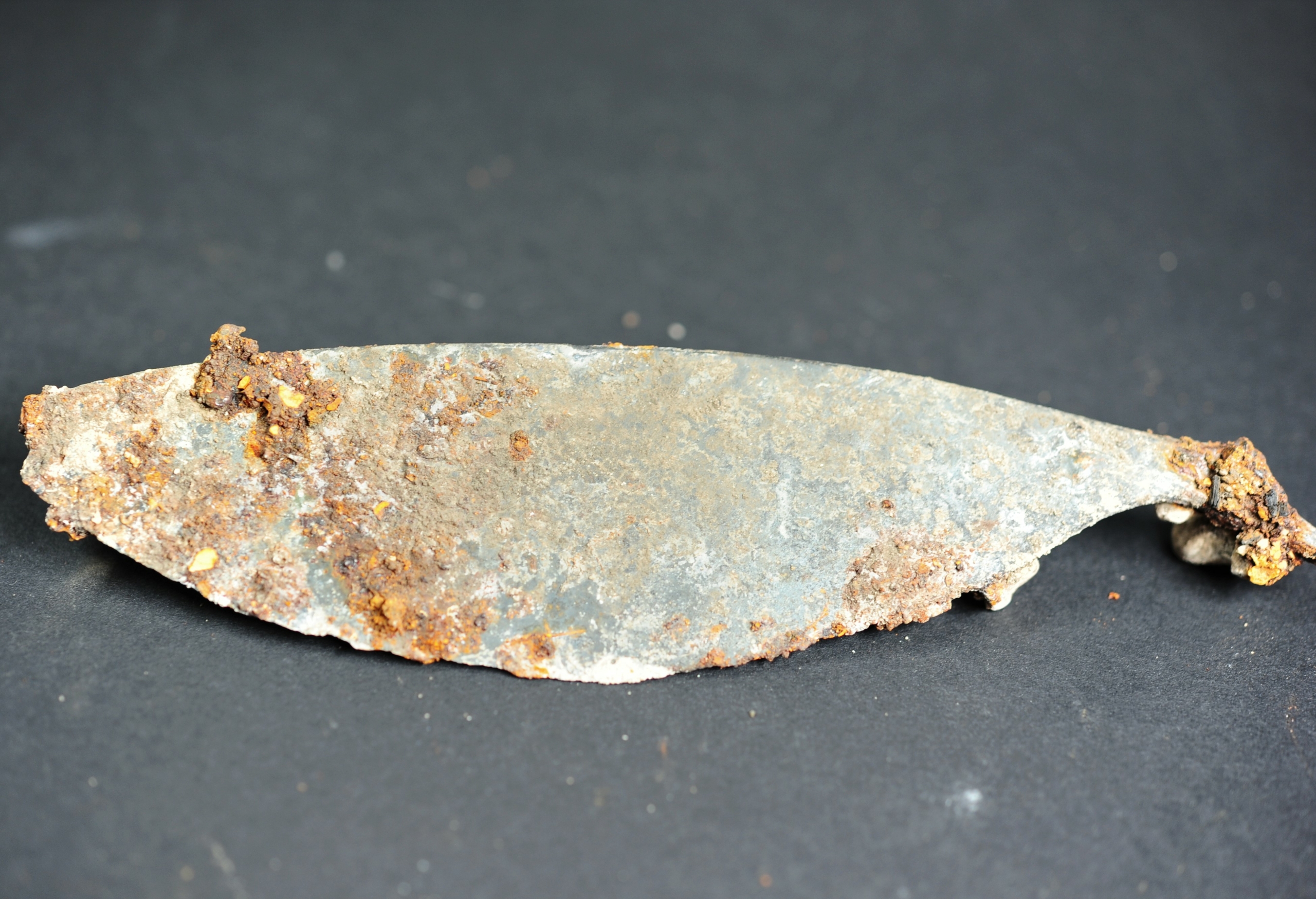 Một lưỡi kiếm được khai quật từ trong ngôi mộ của người Celt. (Ảnh: Văn phòng Bảo tồn Di tích Bang Bavaria)