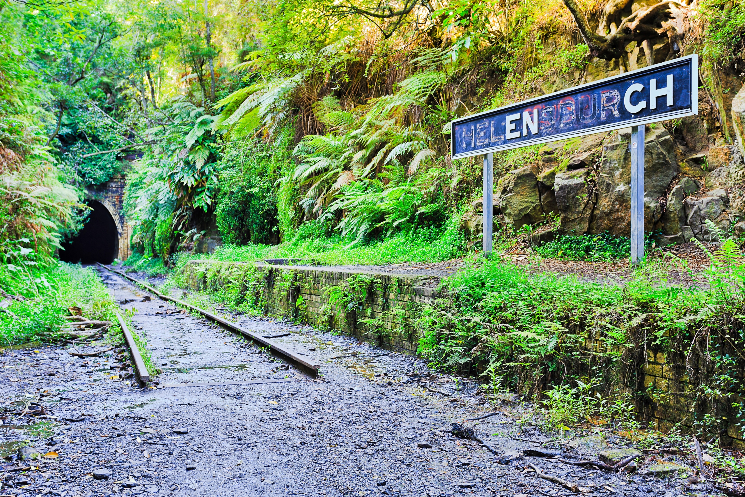 Lối vào đường hầm đom đóm ở Helensburgh. (Ảnh: Shutterstock)