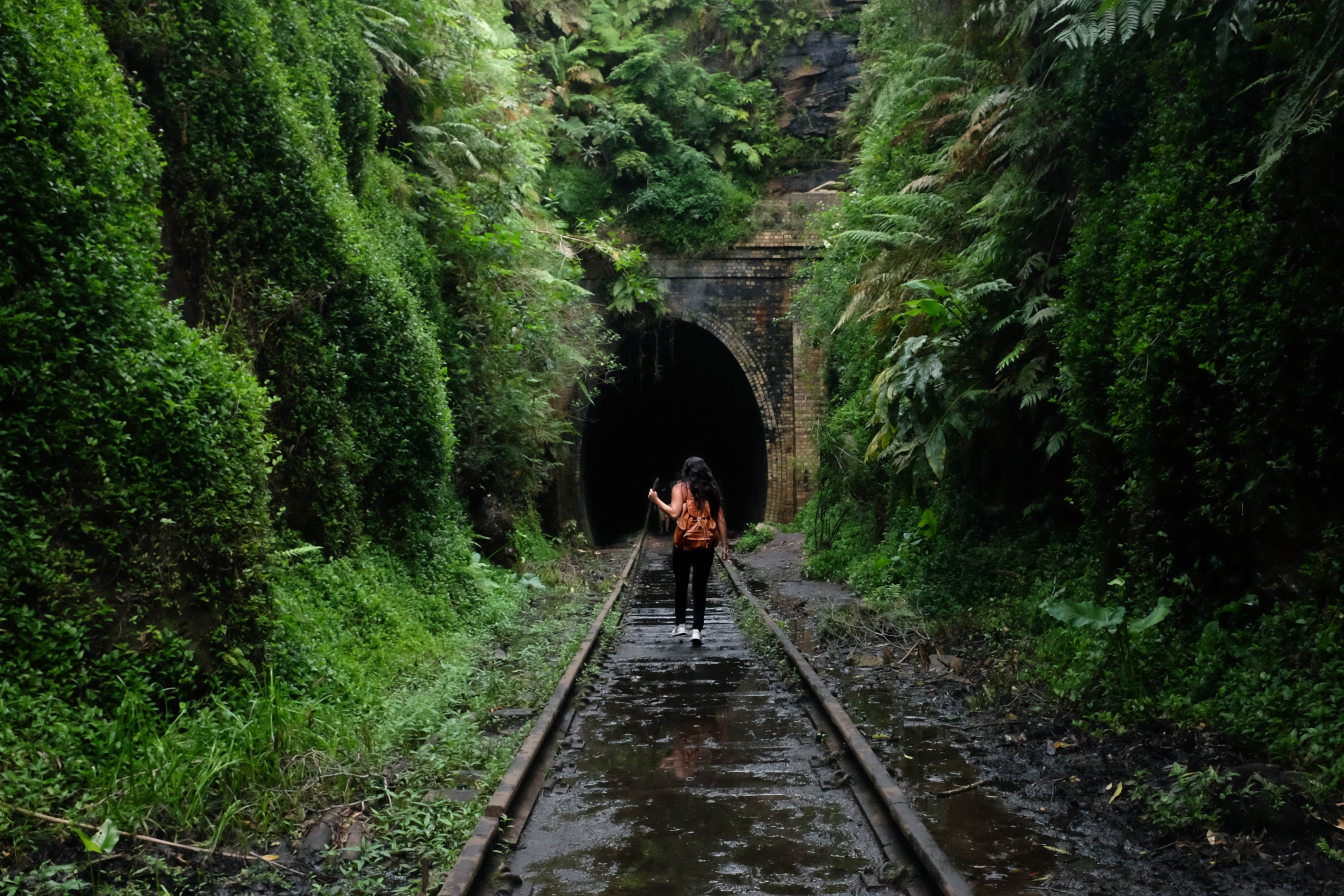 Một người phụ nữ đi bộ vào đường hầm đom đóm Helensburgh. (Ảnh: Unsplash)