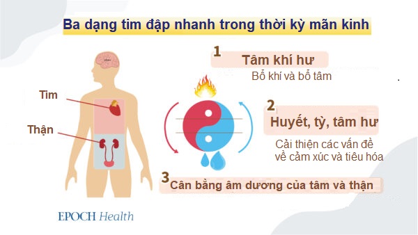 Tinh dầu giảm các triệu chứng trầm cảm, mất ngủ, bốc hỏa trong thời kỳ mãn kinh