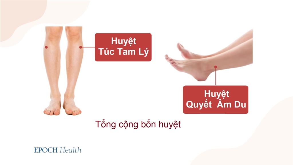 Sơ cứu và điều trị đột quỵ theo Trung y